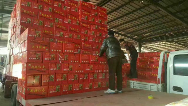 产品红枣厂家一手货源常年大量供应量大从优