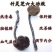 灵芝
