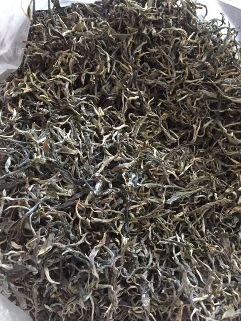 普洱茶