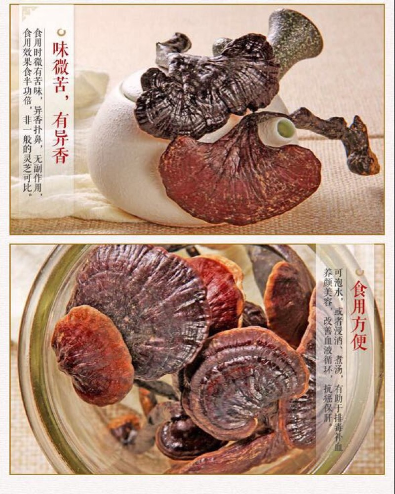 灵芝