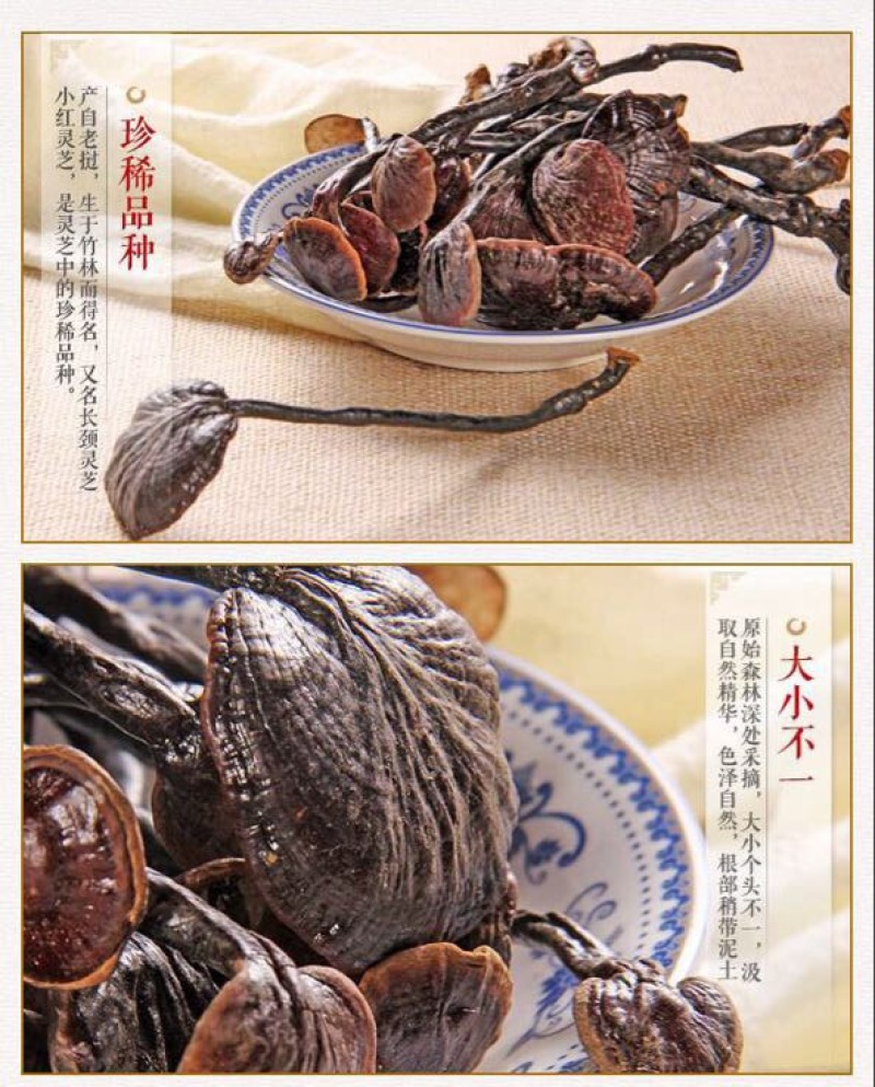 灵芝
