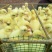 皖西白鹅鹅苗250g以上
