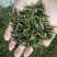 古树茶特级