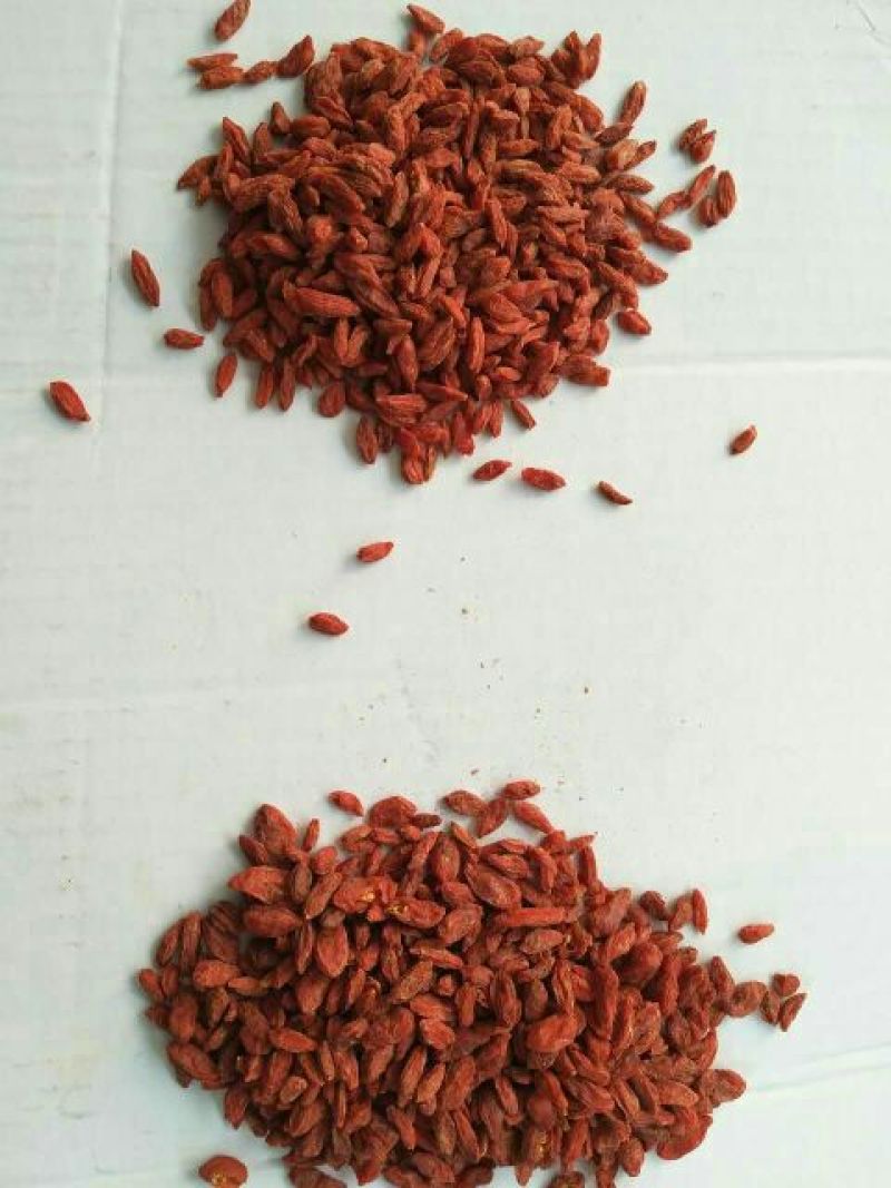 红枸杞头茬干货