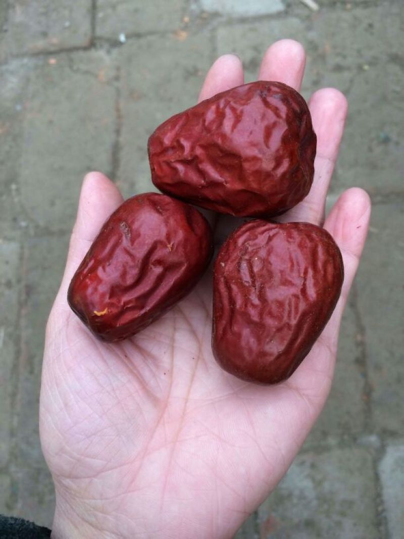 红枣特级干枣
