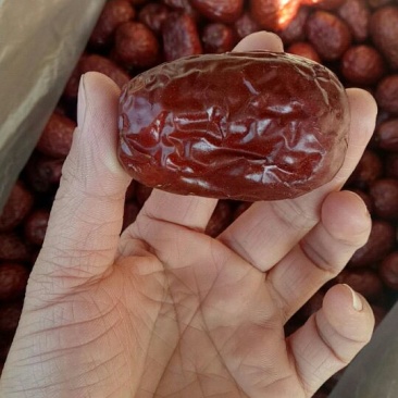 红枣特级干枣
