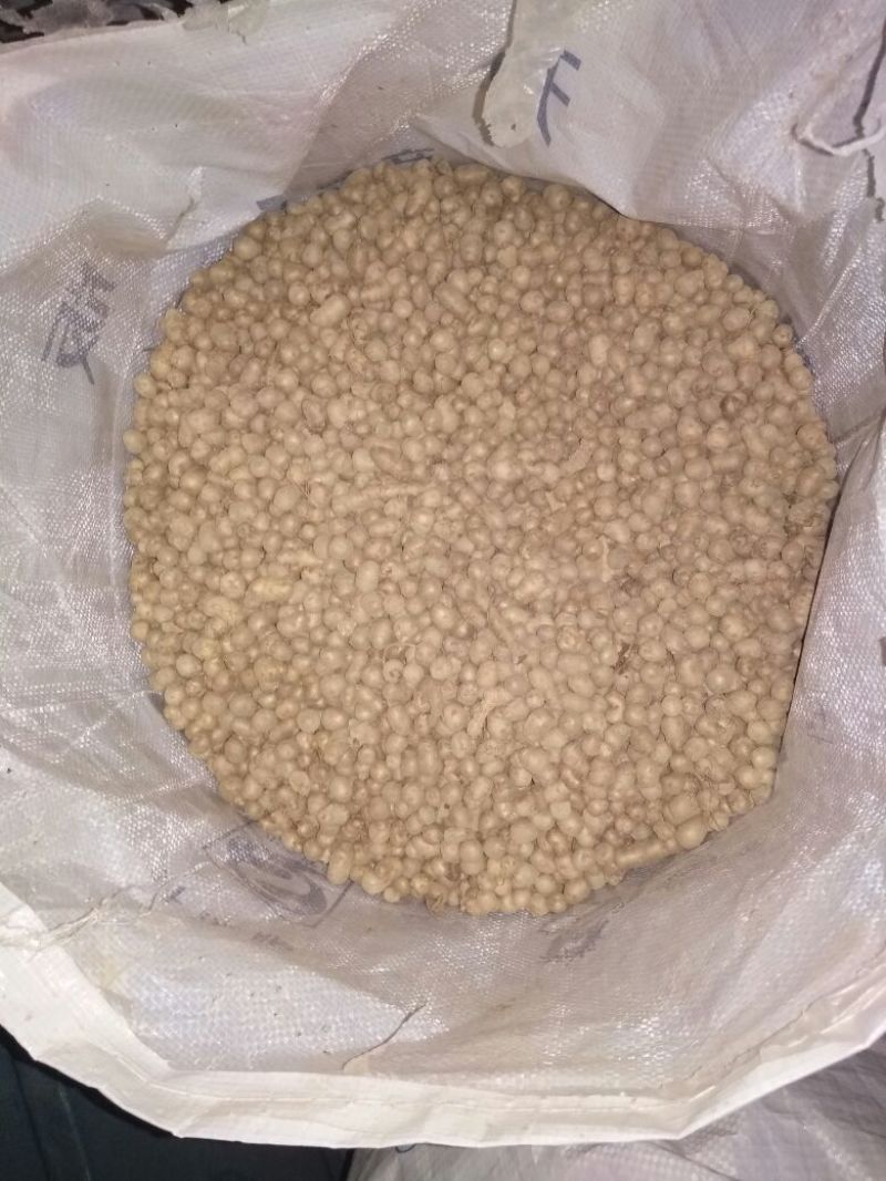 怀菊花袋装