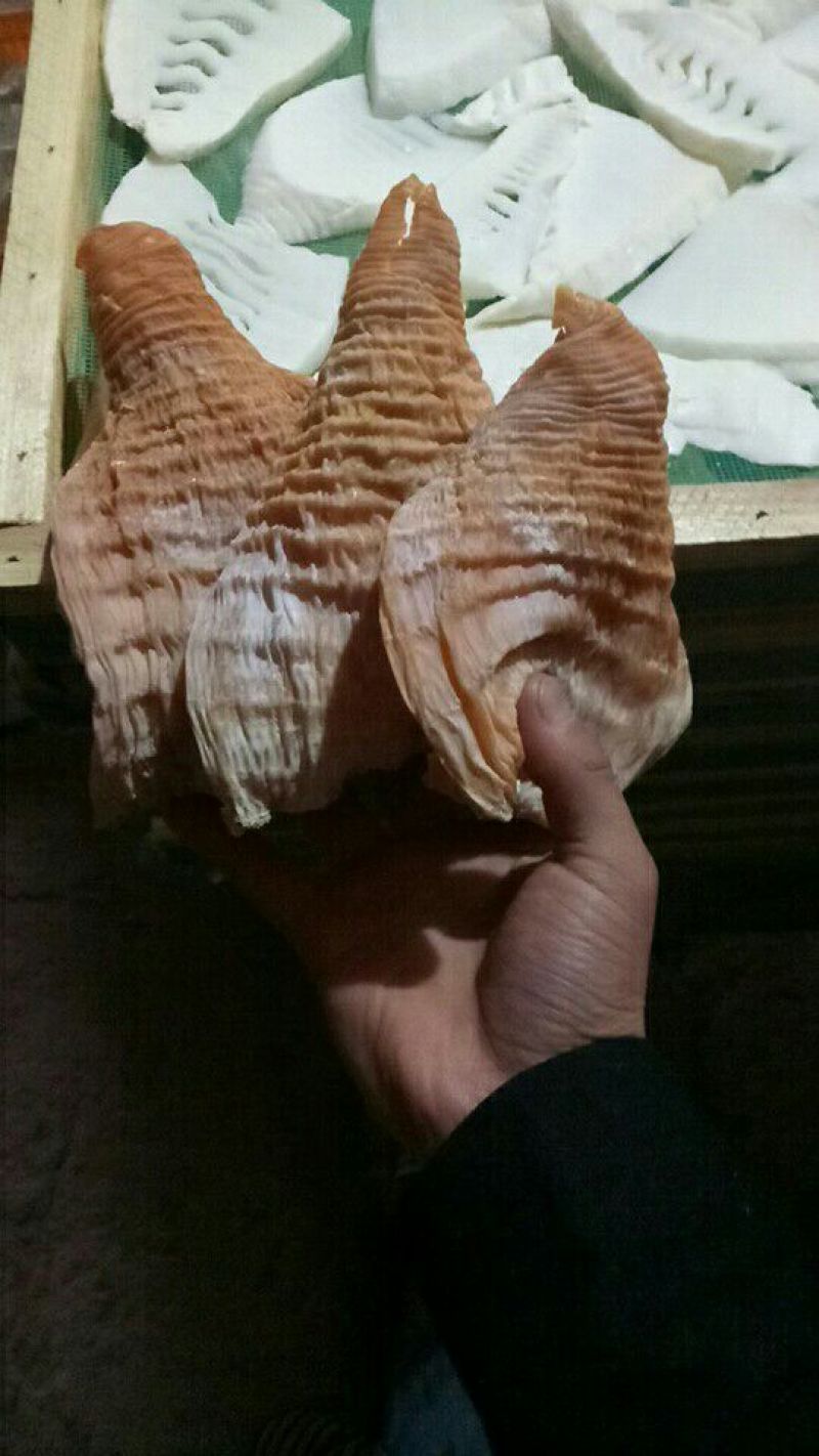 玉兰片