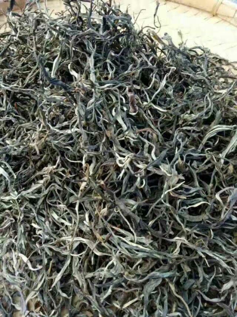 百年大树茶特级