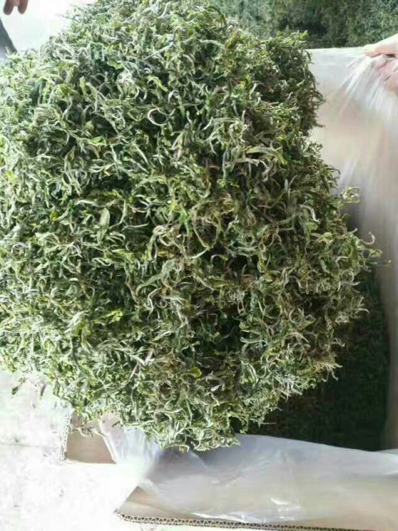 百年大树茶特级