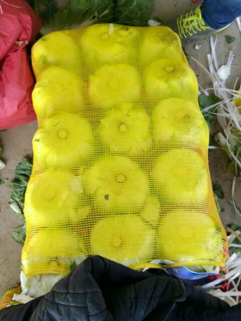 大白菜毛菜7斤以上