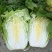 大白菜毛菜7斤以上