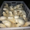 郓城县娴硕谷物合作社的一亩田店铺