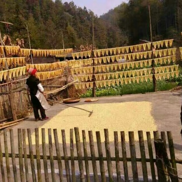 腐竹包装