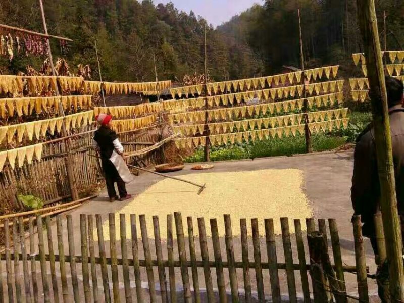 腐竹包装