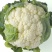 菜花1斤紧密乳白