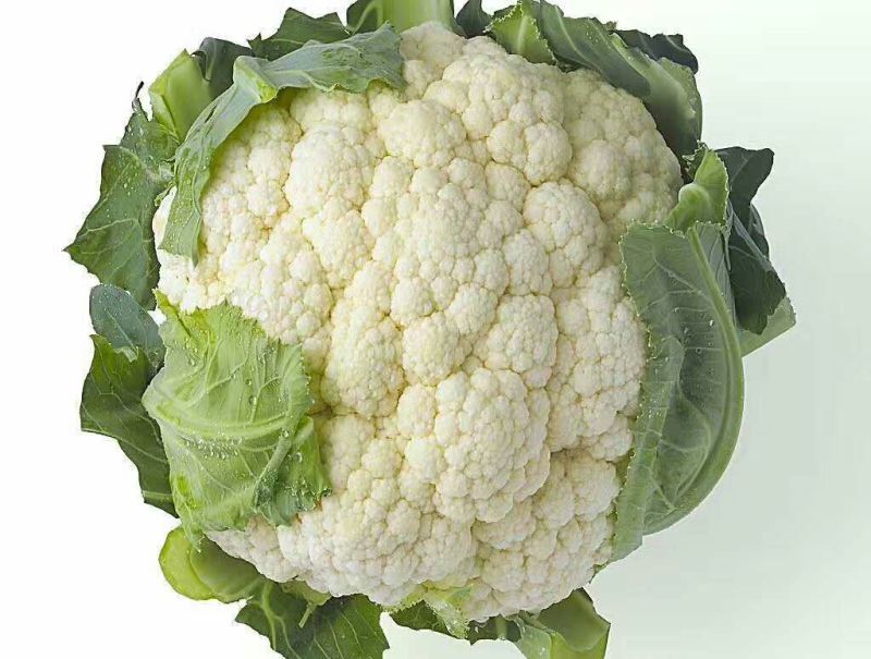 菜花1斤紧密乳白
