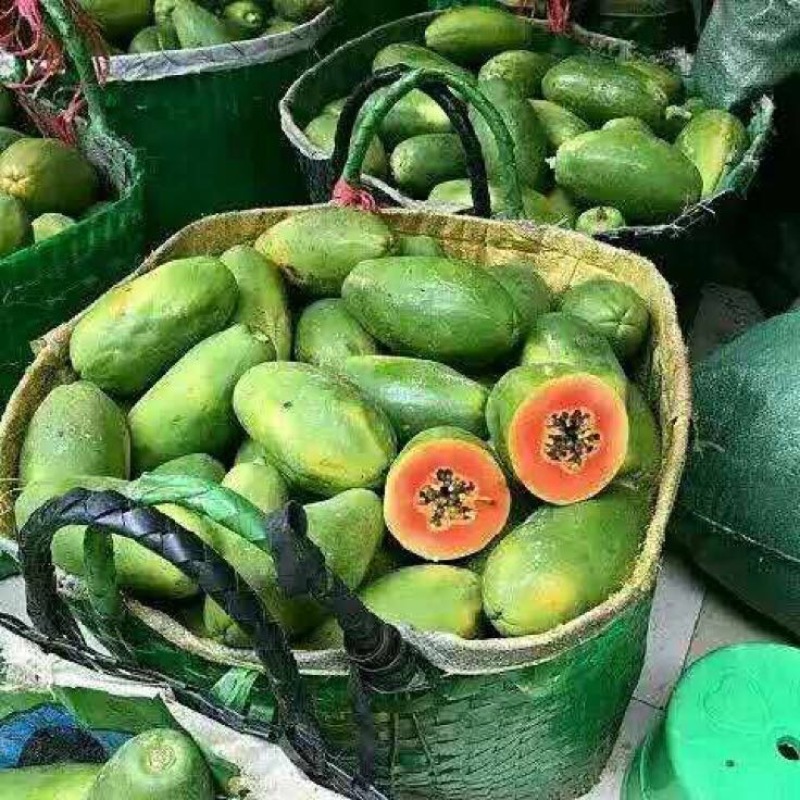 木瓜