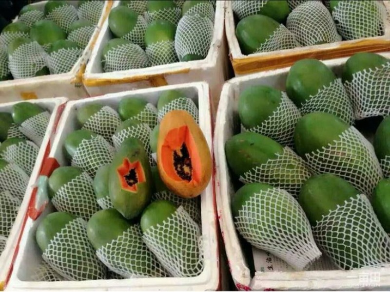 木瓜