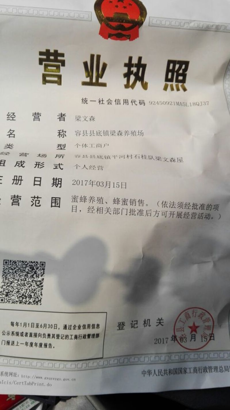 广西特产龙眼树的龙眼蜜包装2斤农家果树下的中华蜂蜜