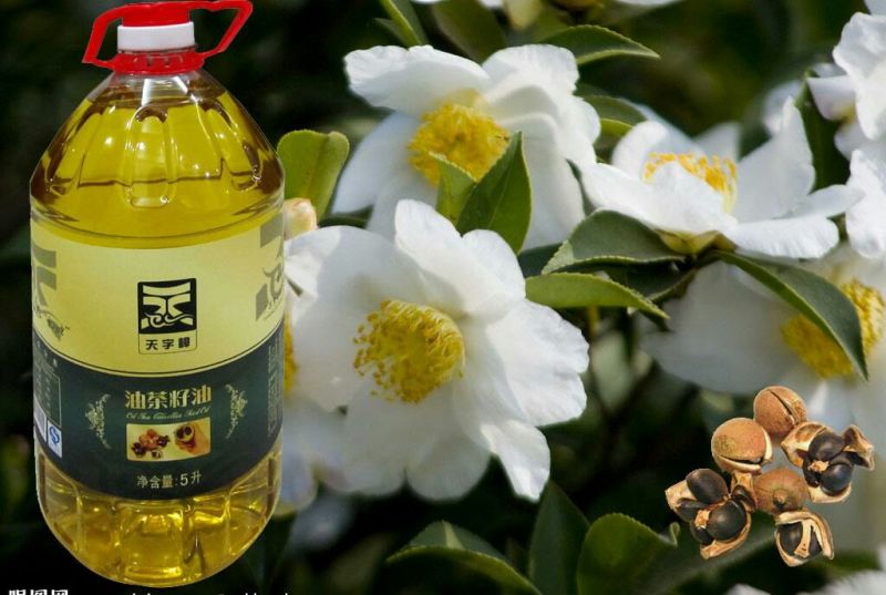 茶树油