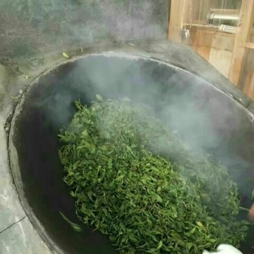 普洱茶