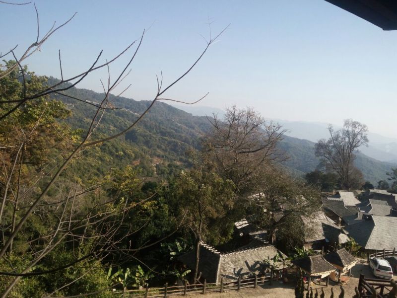 普洱茶