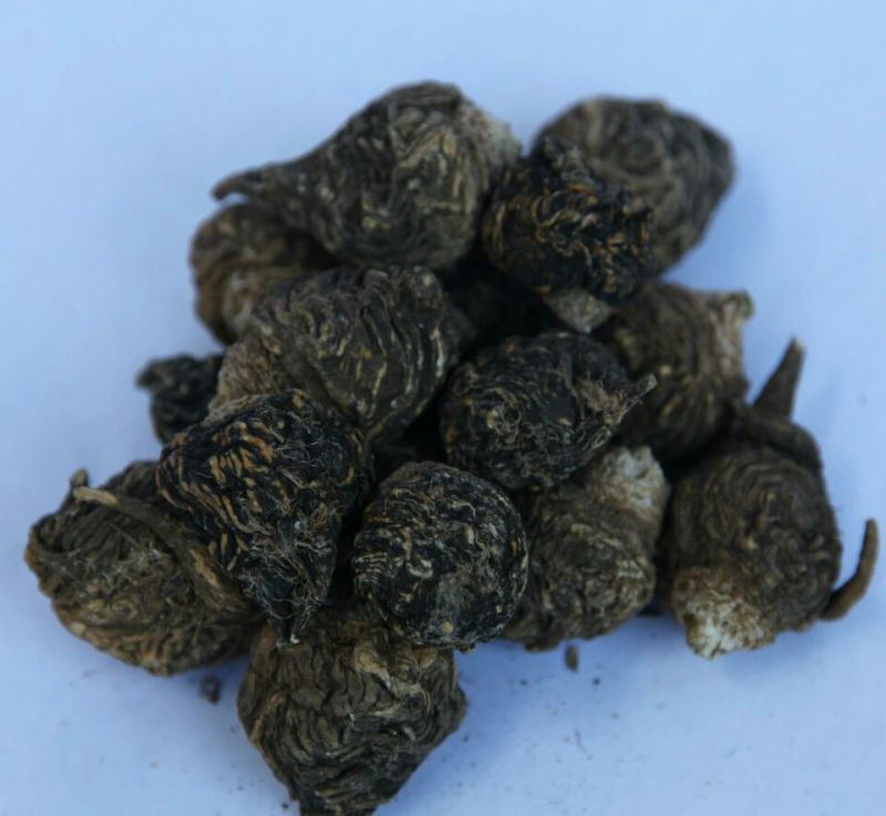 黑玛卡黑色