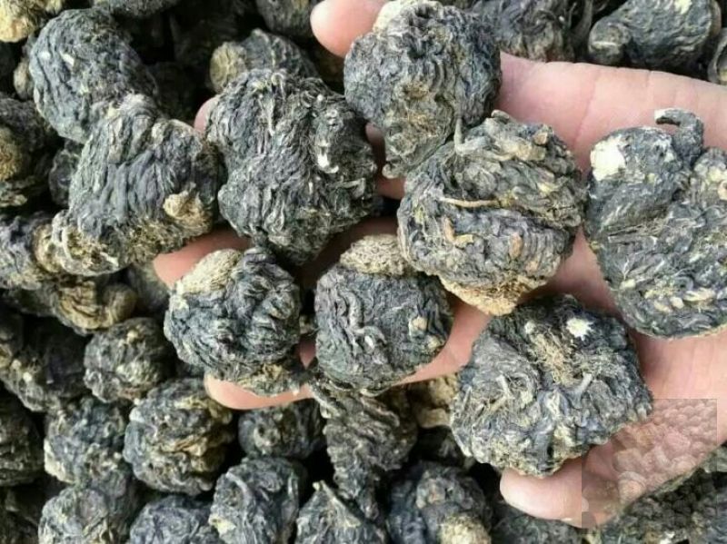 黑玛卡黑色
