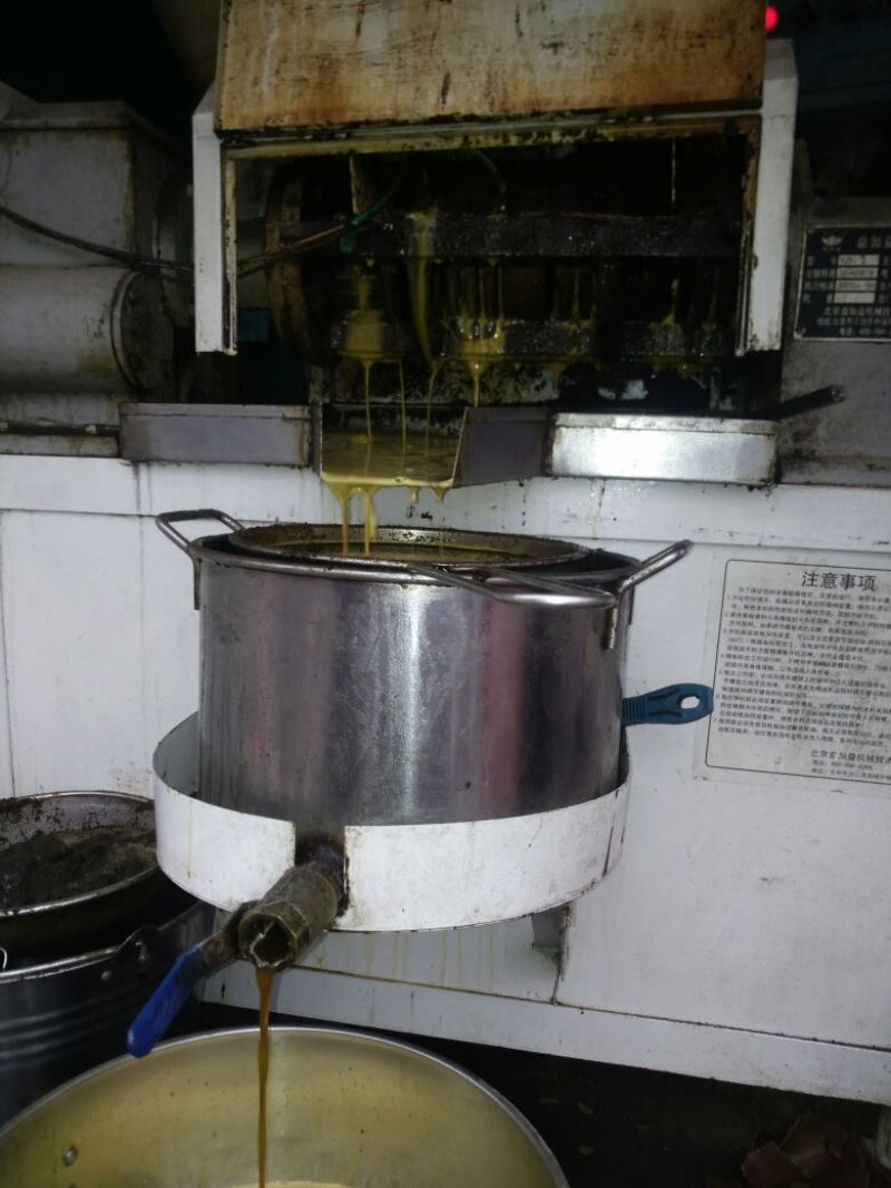 压榨菜籽油四级