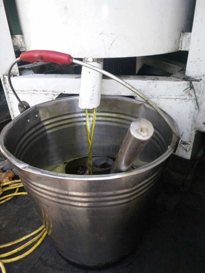 压榨菜籽油四级