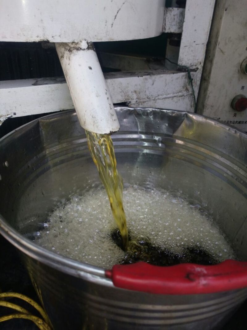 压榨菜籽油四级