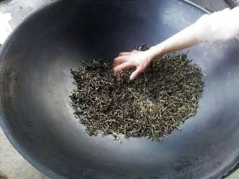 百年大树茶