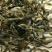 古树普洱茶二级