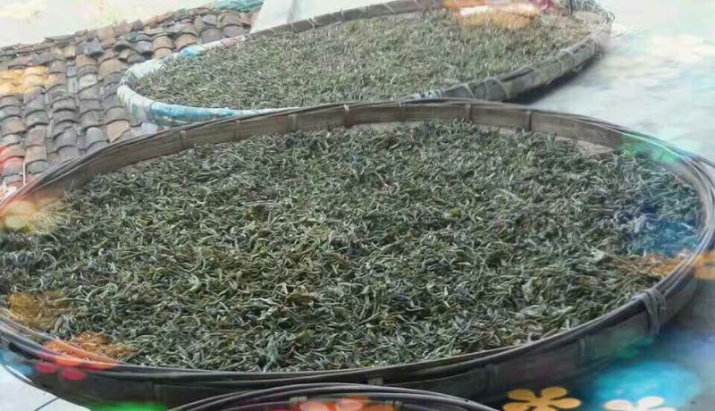 古树普洱茶二级