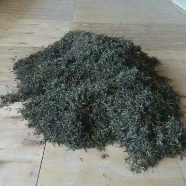 古树普洱茶二级