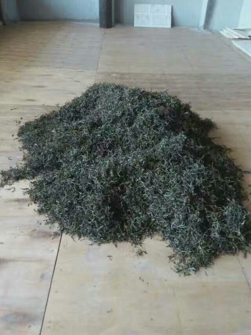 古树普洱茶二级