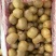 徐香猕猕猴桃苗0.1~0.2cm30cm以下嫁接苗