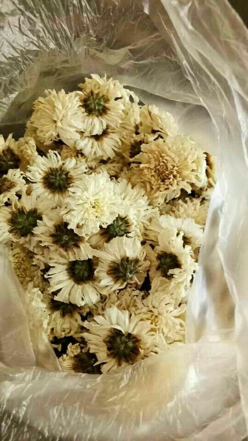 怀菊花散装