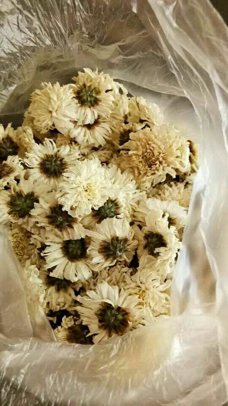 怀菊花散装