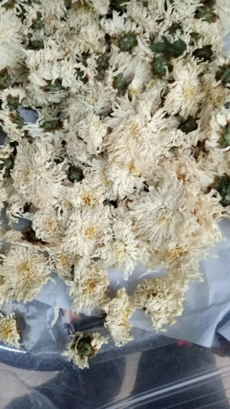 怀菊花散装