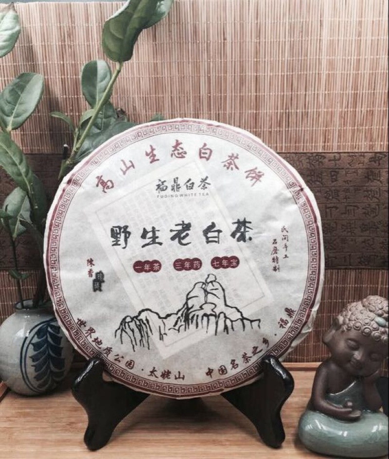 福鼎白茶