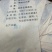 福鼎白茶