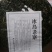 普洱绿茶