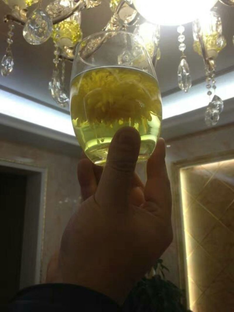 皇菊茶三级