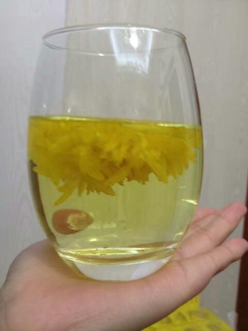 皇菊茶三级