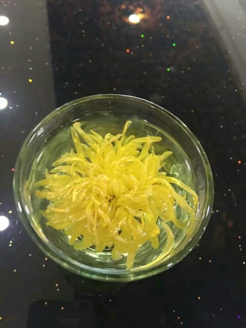 皇菊茶三级
