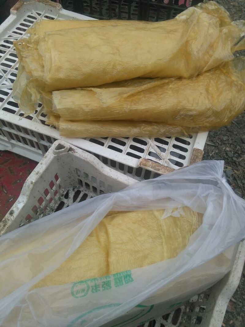 豆皮湿