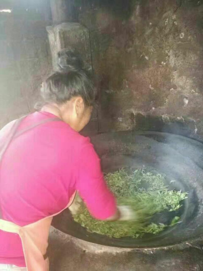 普洱茶