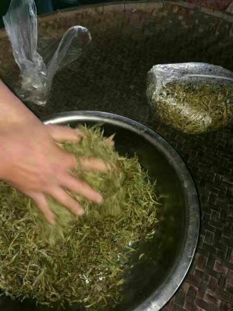 普洱茶